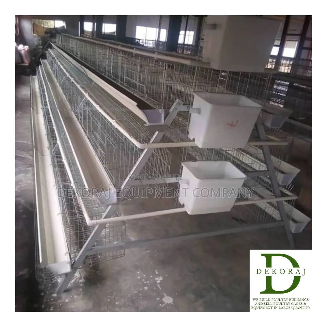 120 Birds Imported Chicken Cage We Sell Gas Brooder