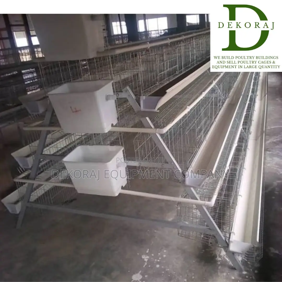 96 Imported Chicken Cages For Egg Production With Feeder