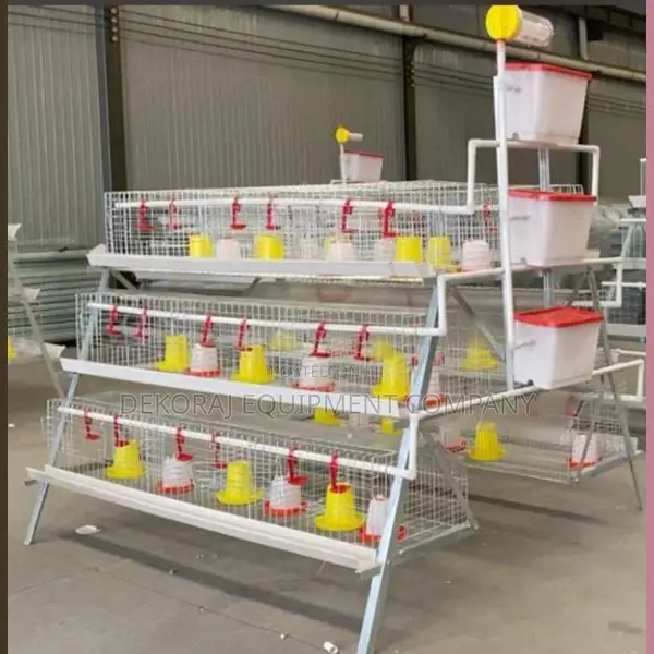 300 Broiler Cage Imported  4 High Roi,We Sell India Drinkers