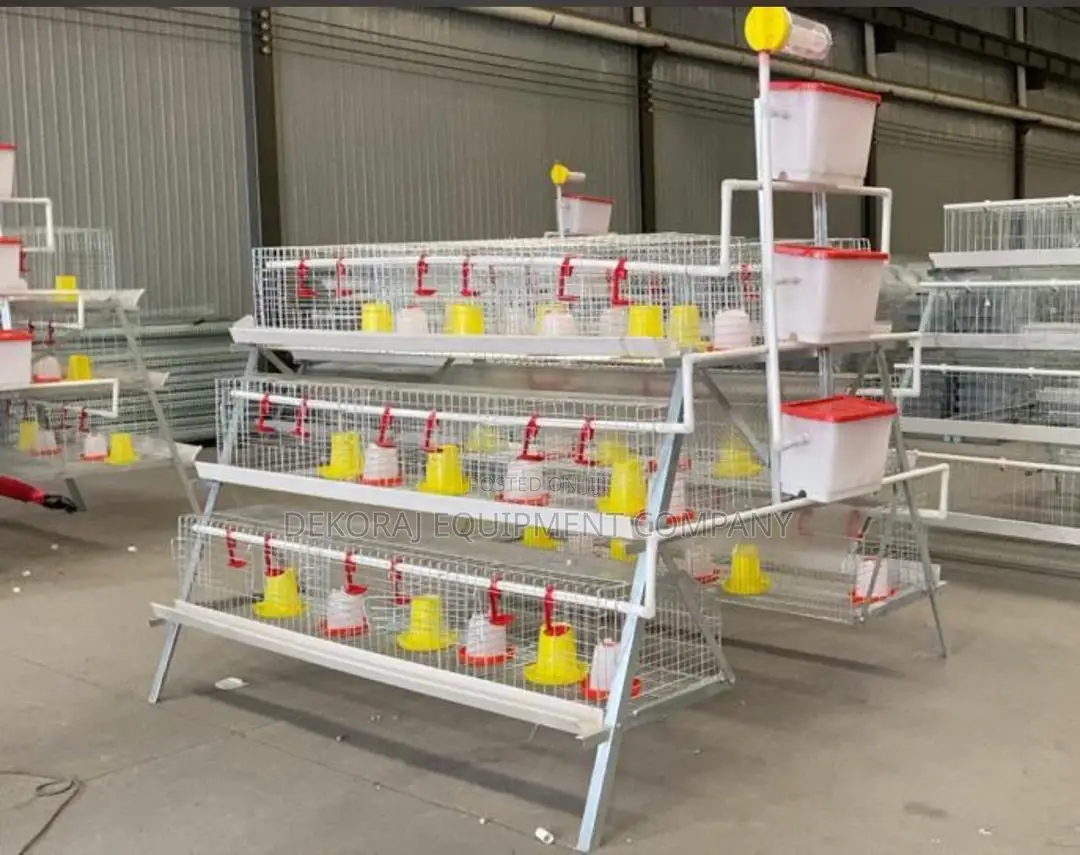 Imported 300 Broiler Cage With 25 Years,Bell Drinkers