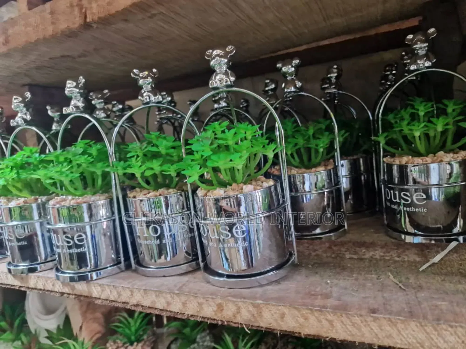 Potted Table and Shelf Flowers