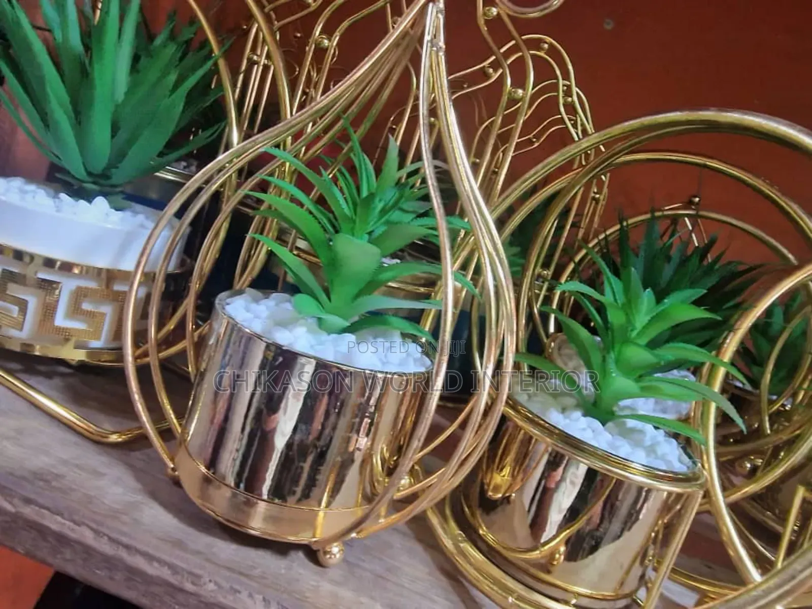 Potted Table and Shelf Flowers