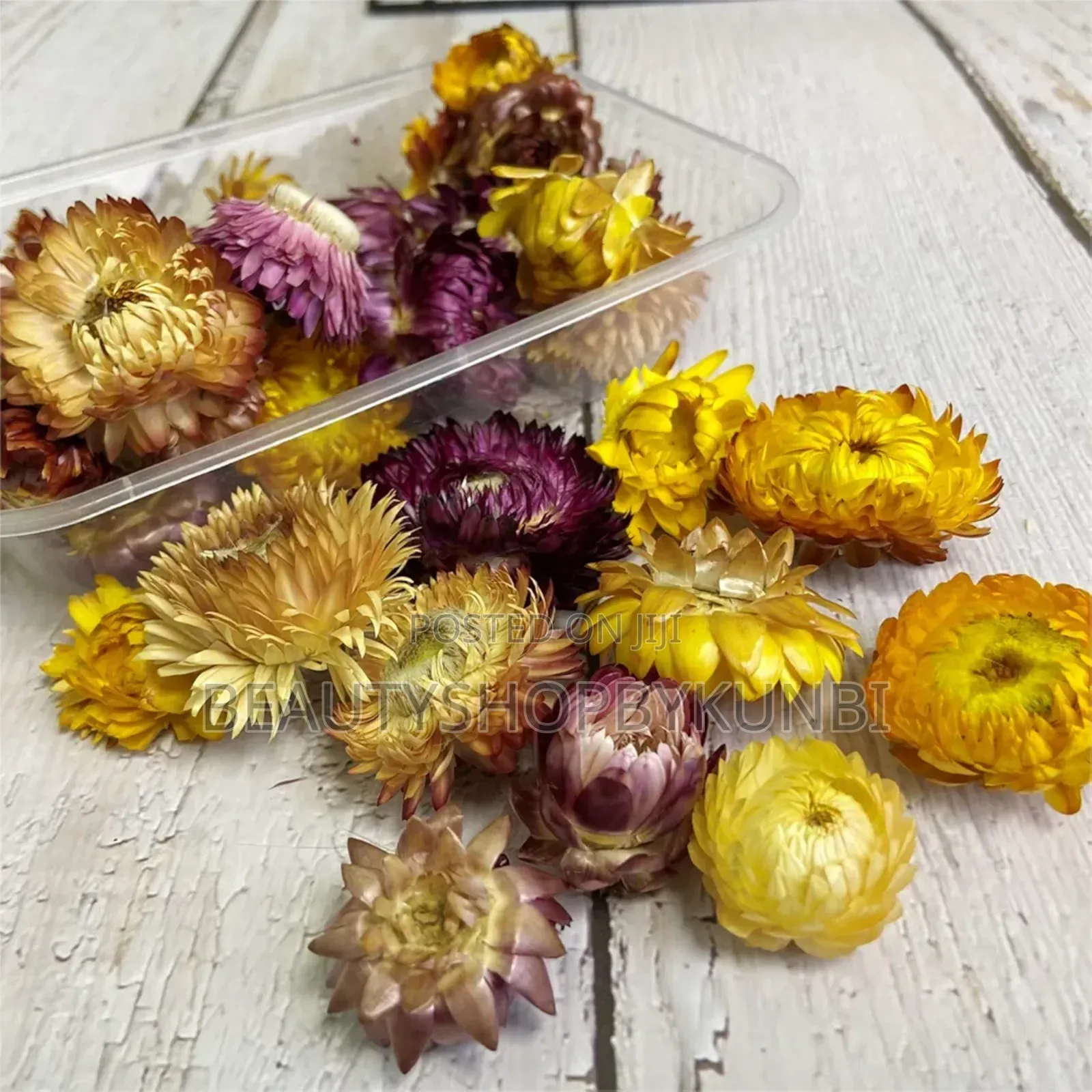 Dried Flower Box for Resin Crafts