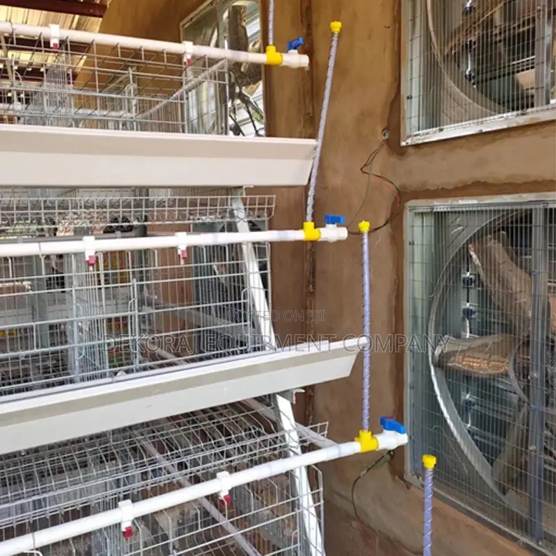 160 Birds Imported Poultry Cage ,Chicken Feeder,Bell Drinker