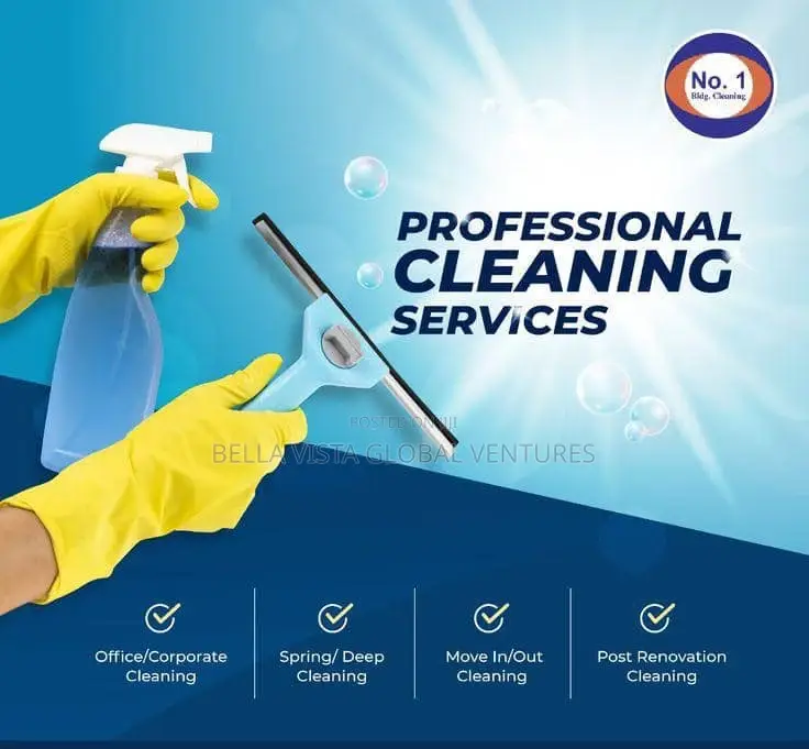 Professional Cleaning Services - Homes, Offices, Apartments