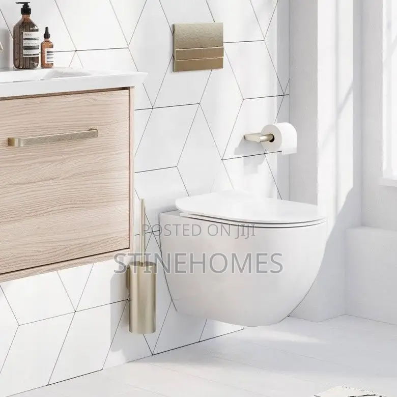 Conceal /Wall Hung Water Closet