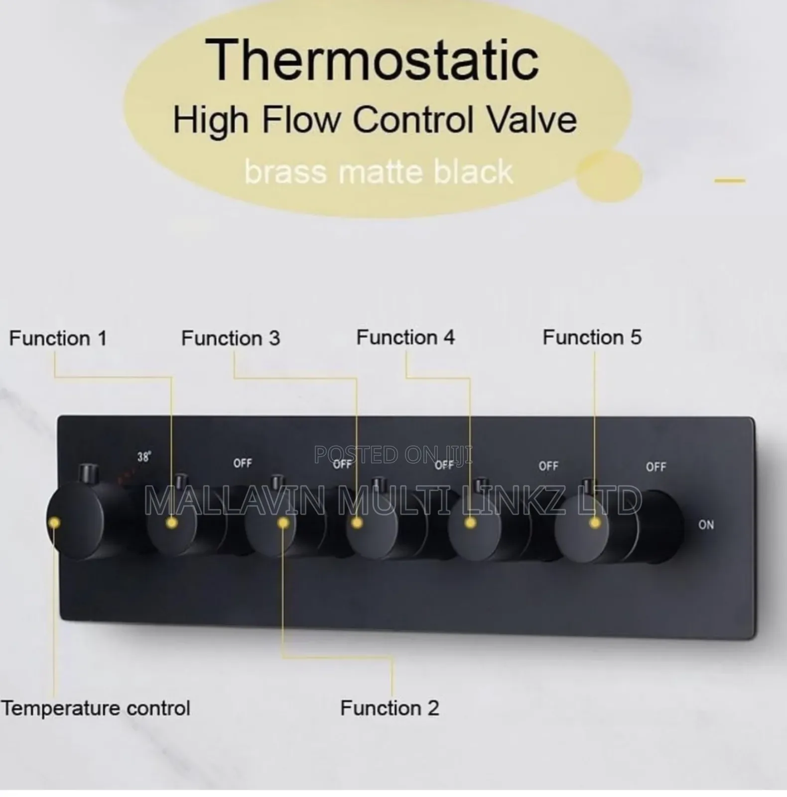 Black LED Thermostatic Shower Conduit Shower With Bluetooth