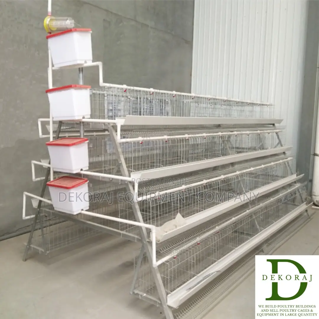 128 Capacity Layers Cage, Chicken Feeder, Nipple Drinkers