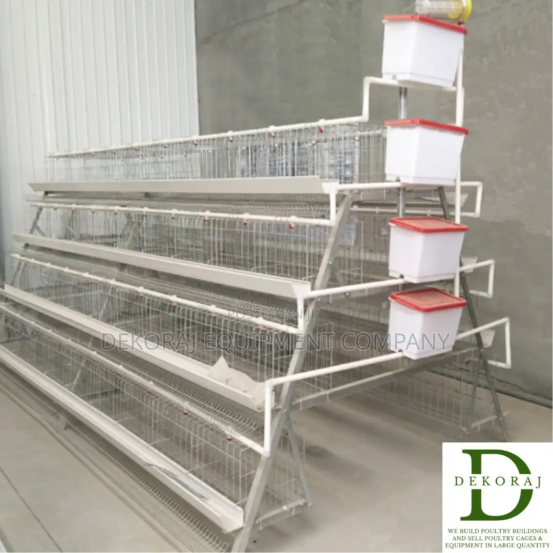 160 Capacity Layers Cage, Point Of Lay, Chicken Cutter