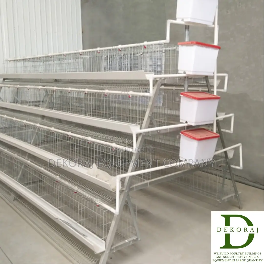 96 Capacity Layers Cage, Automatic Drinkers, Broiler