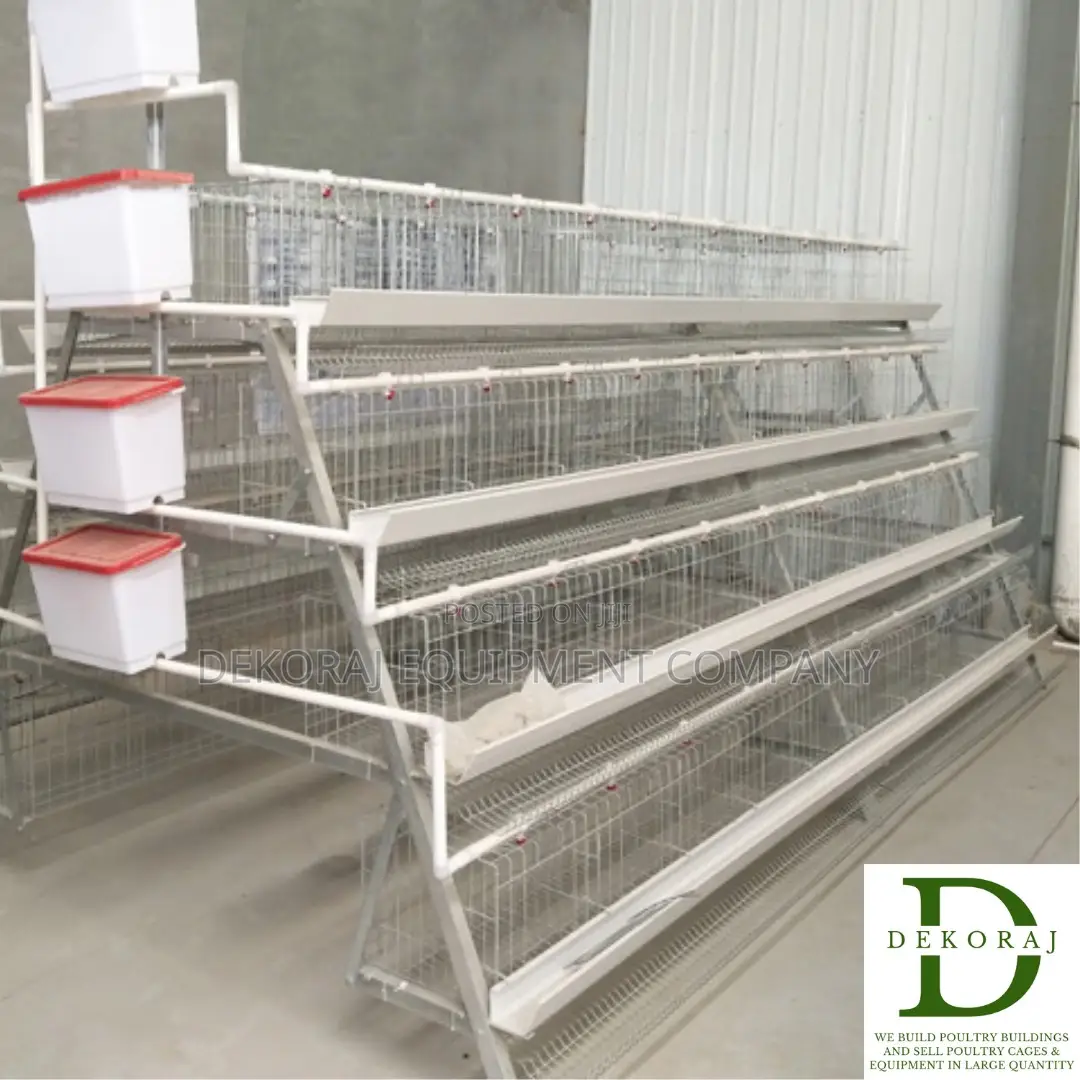 160 Capacity Layers Cage, Chicken Drinker, Feedmill