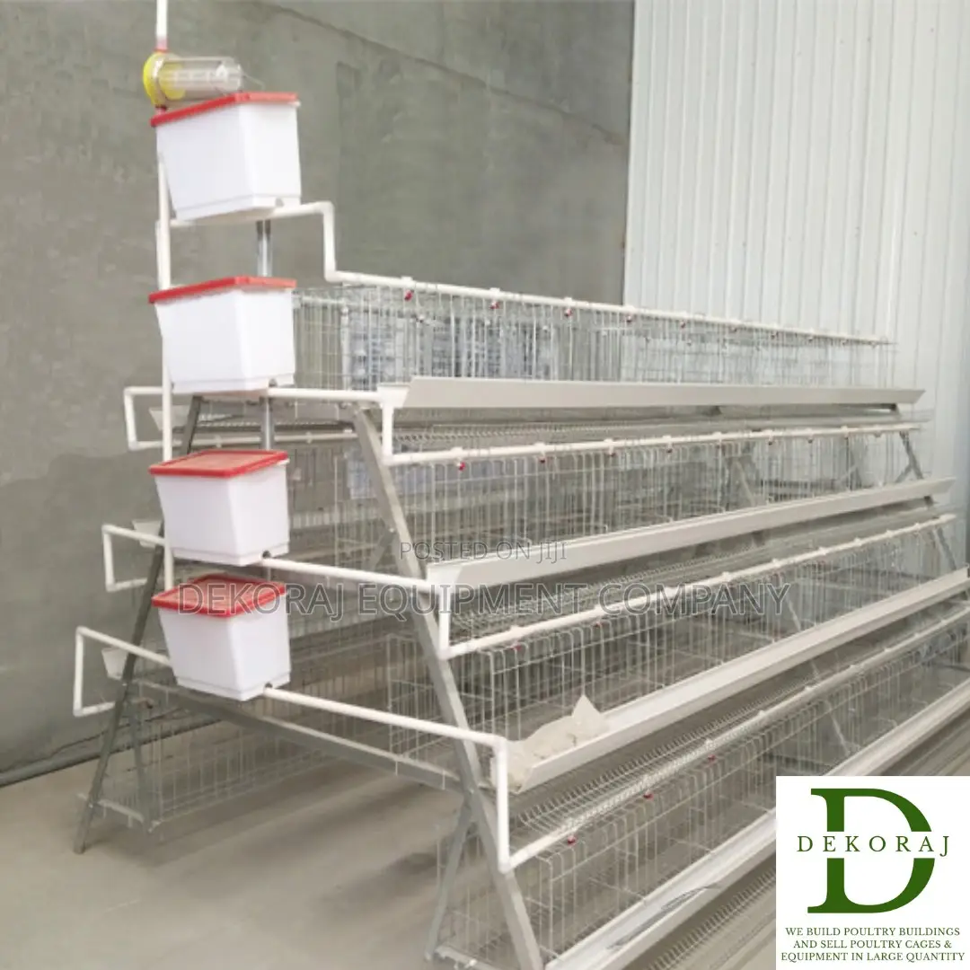 96 Capacity Layers Cage, Automatic Bell Drinkers, Plucker