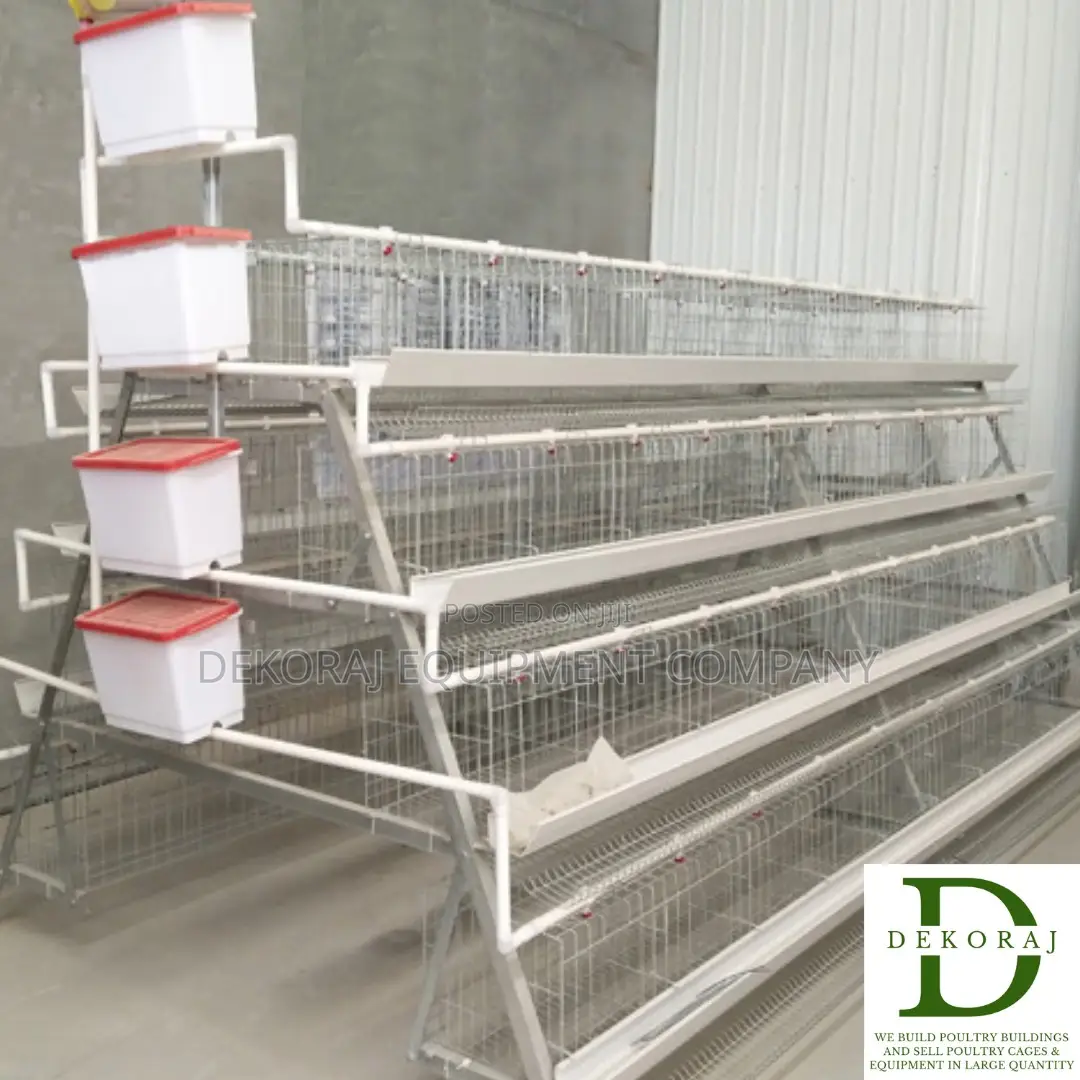 128 Capacity Layers Cage, Chicken Feeder, Day Old Pullet