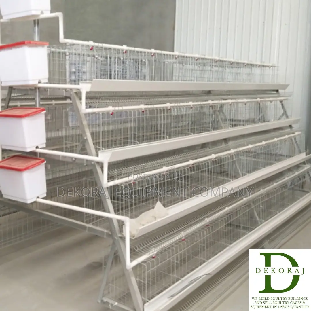 160 Capacity Layers Cage, Nipple Drinkers, Temperature Monit