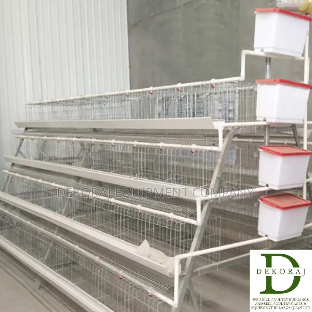 160 Birds Layers Cage Imported Type With Nipple Drinker