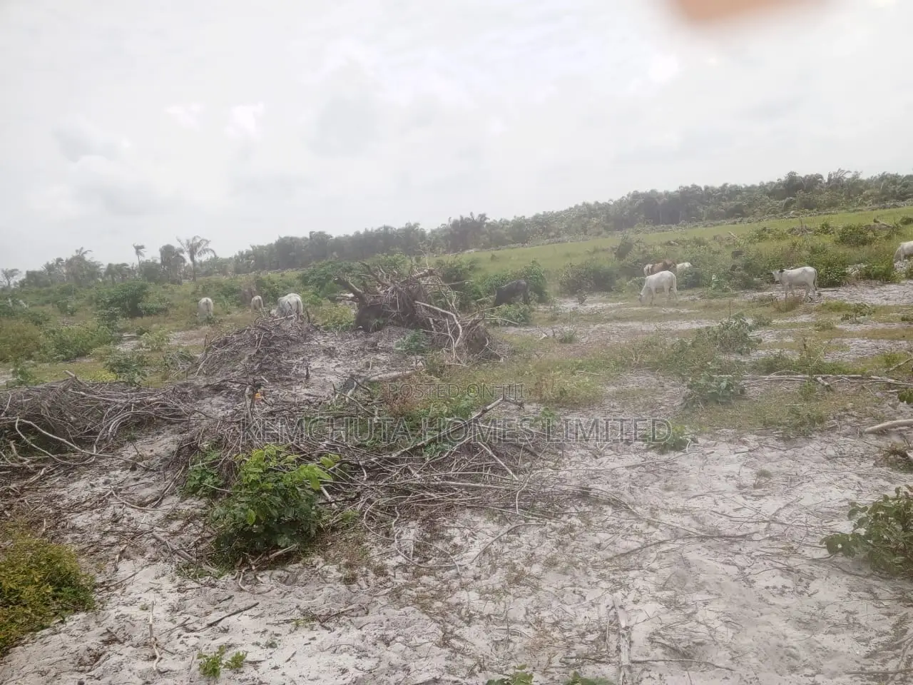 Most Sought-after Estate With Instant Allocation In Lagos