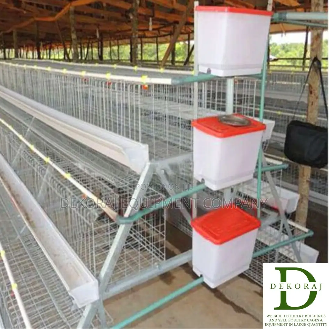 160 Capacity Layers Cage, Chicken Feeder, Day Old Chicks