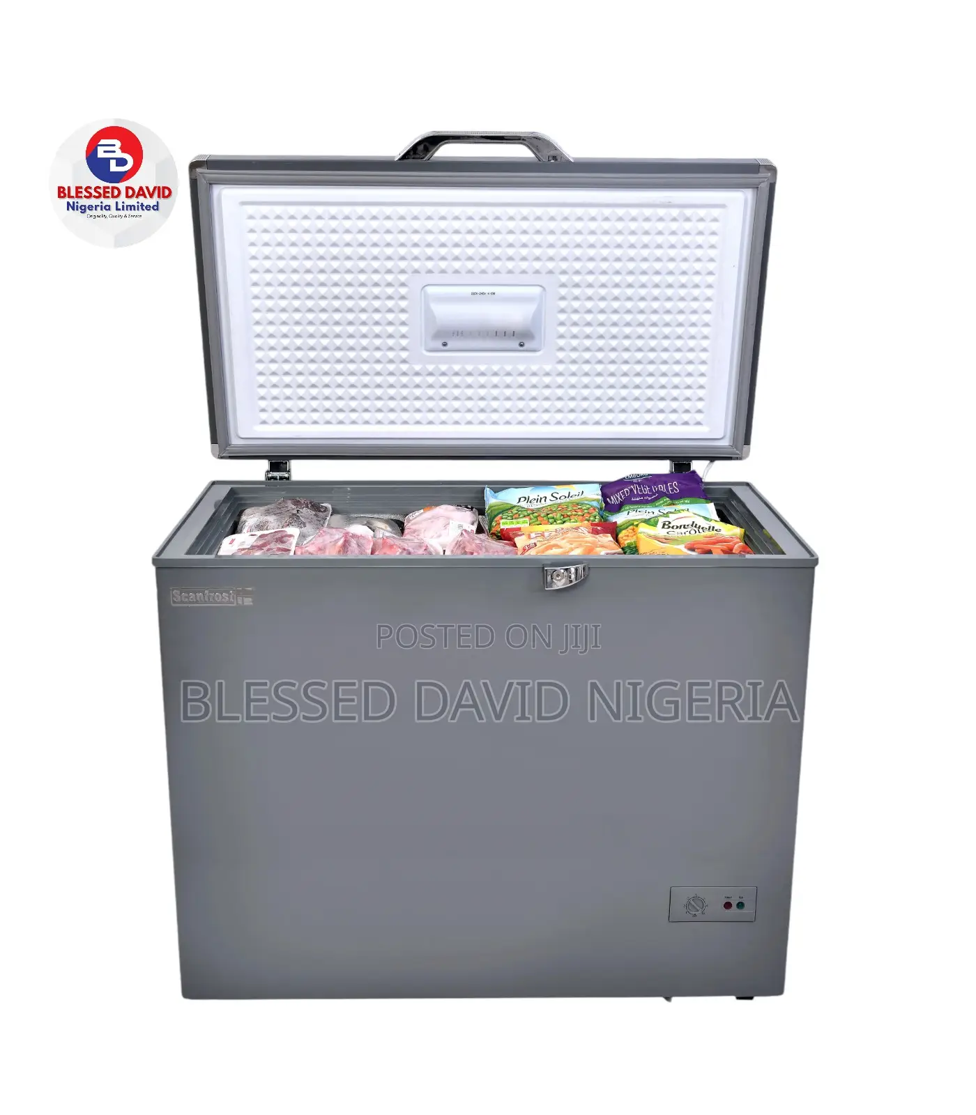 Scanfrost 250L Chest Freezer - SFL250 ECO