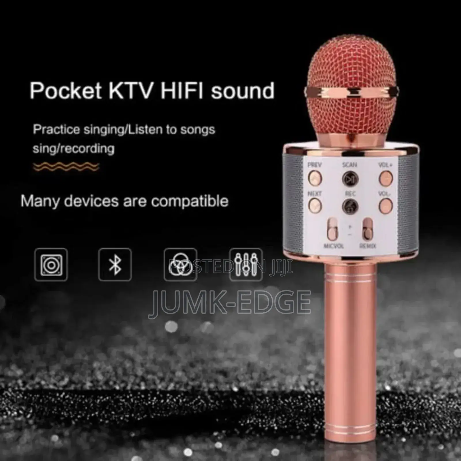 Karaoke Bluetooth Microphone