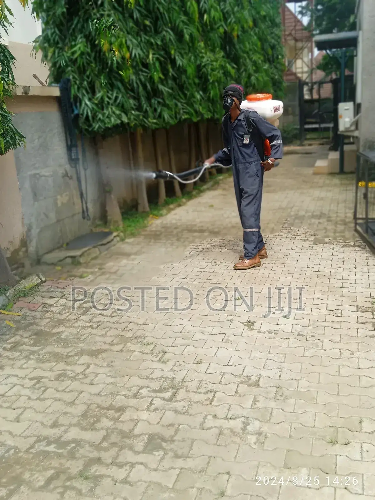 Abuja Fumigation Services _Your Partner in Pest Control