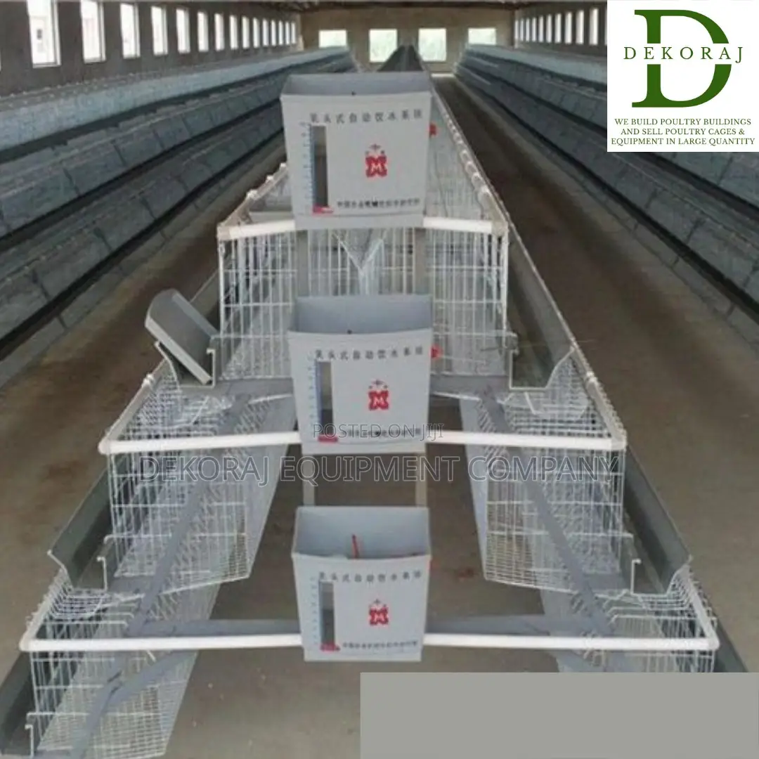 160 Capacity Layers Cage, Chicken Drinker, Chicken Plucker