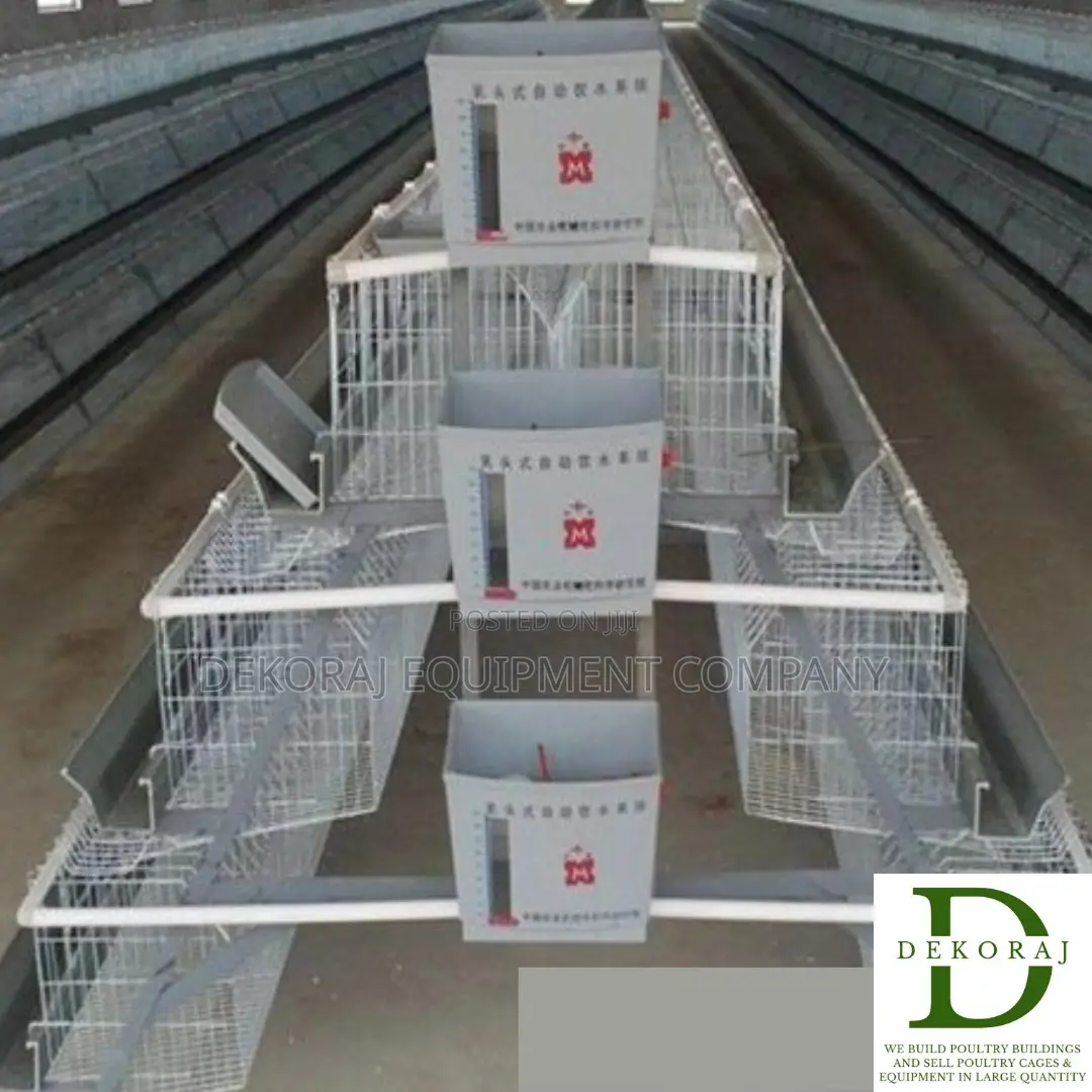 96 Capacity Layers Cage, Chicken Feeder, Point Of Lay
