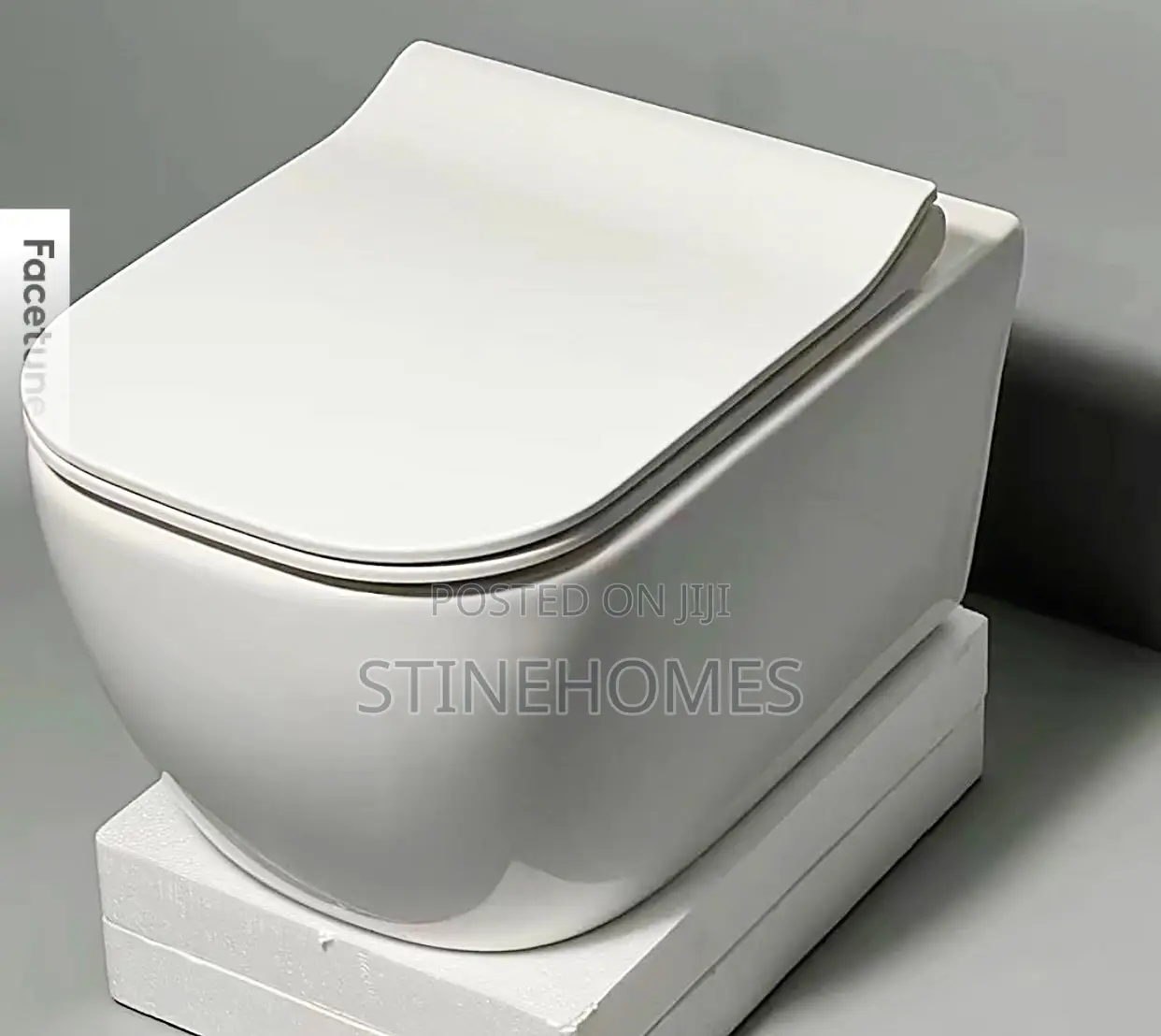 Hanging Water Closet