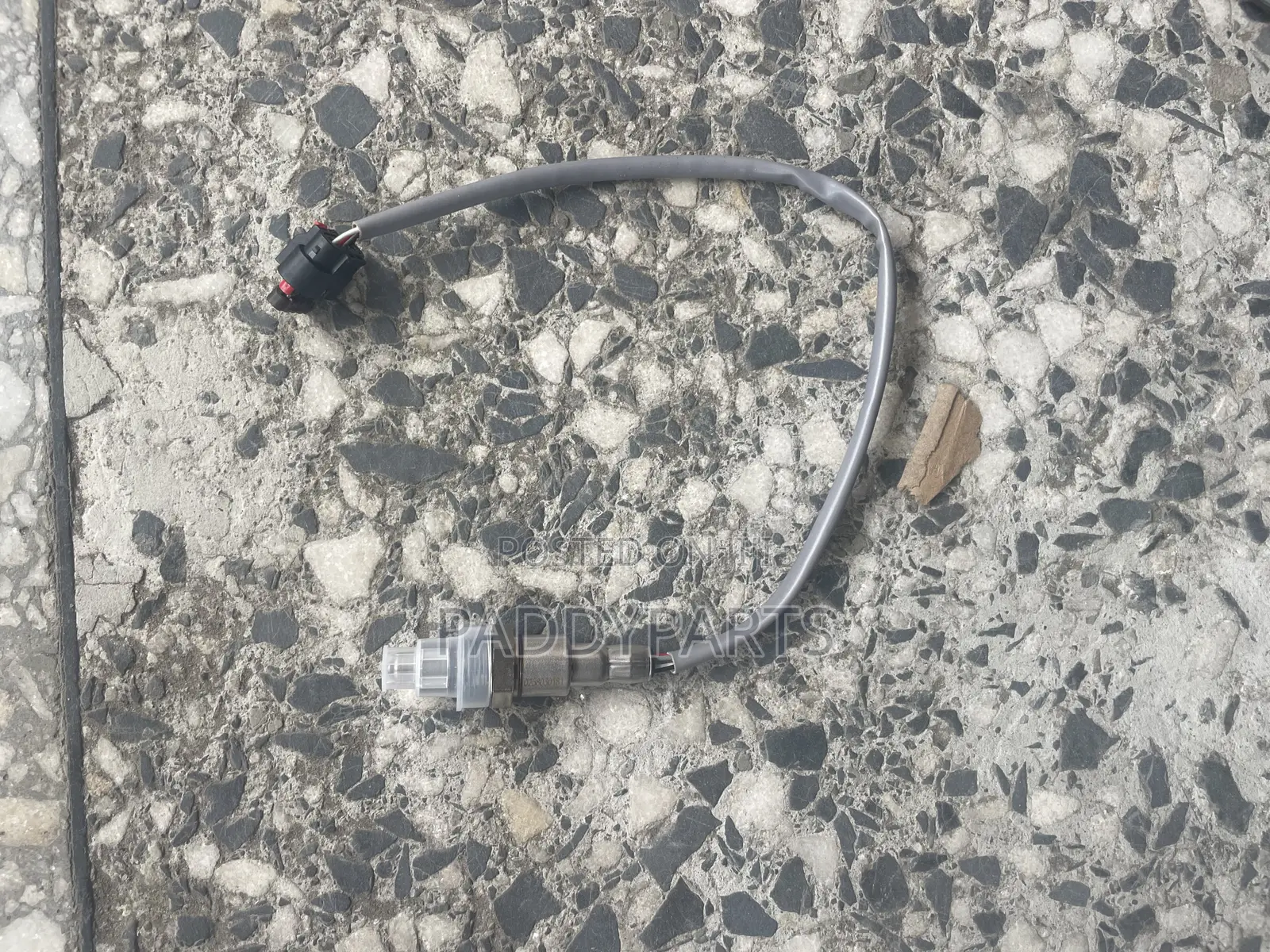 Ford Mustang GT Oxygen Sensor 2018-2023