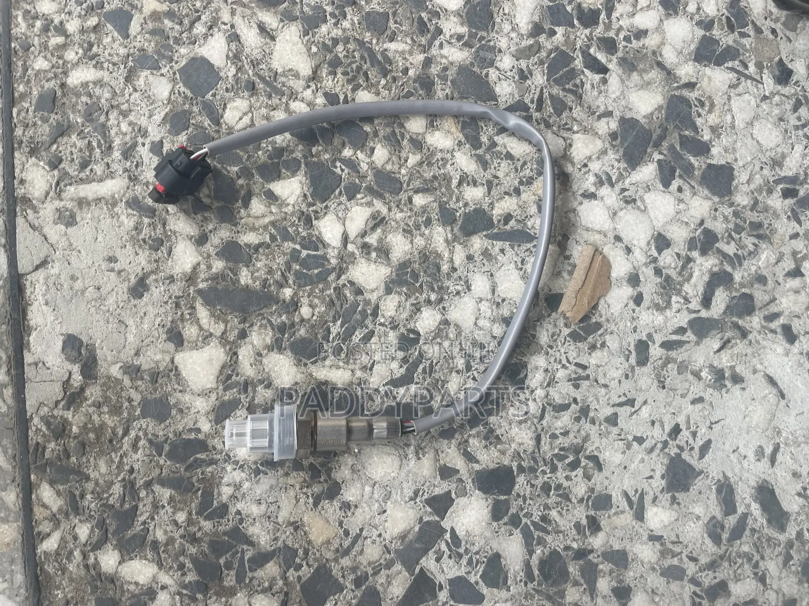 Ford Mustang GT Oxygen Sensor 2018-2023