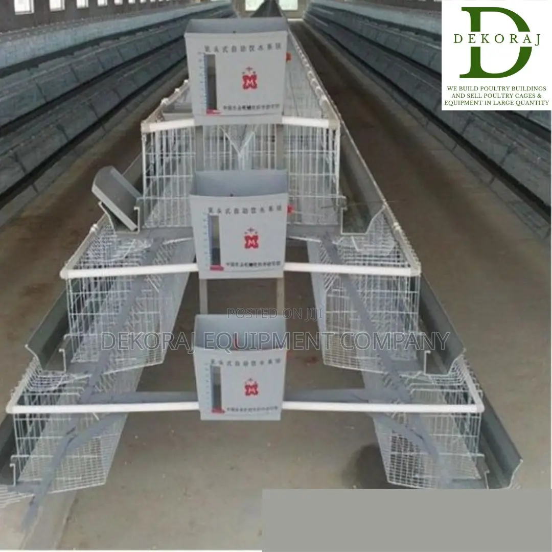 160 Capacity Layers Cage, Chick Feeder, Chicken Cutter