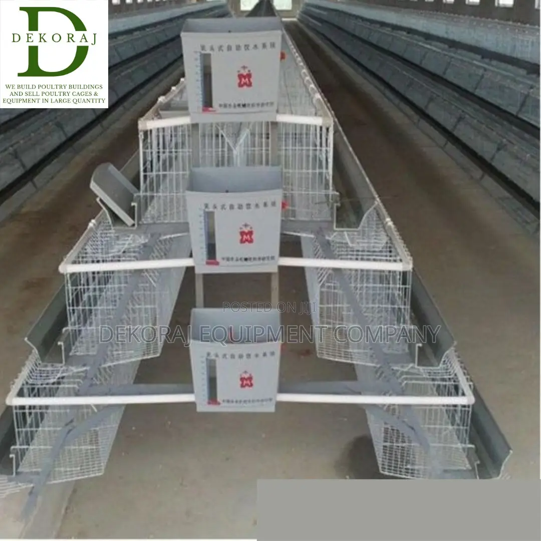 128 Capacity Layers Cage, Chicken Feeder, Chick Feeder