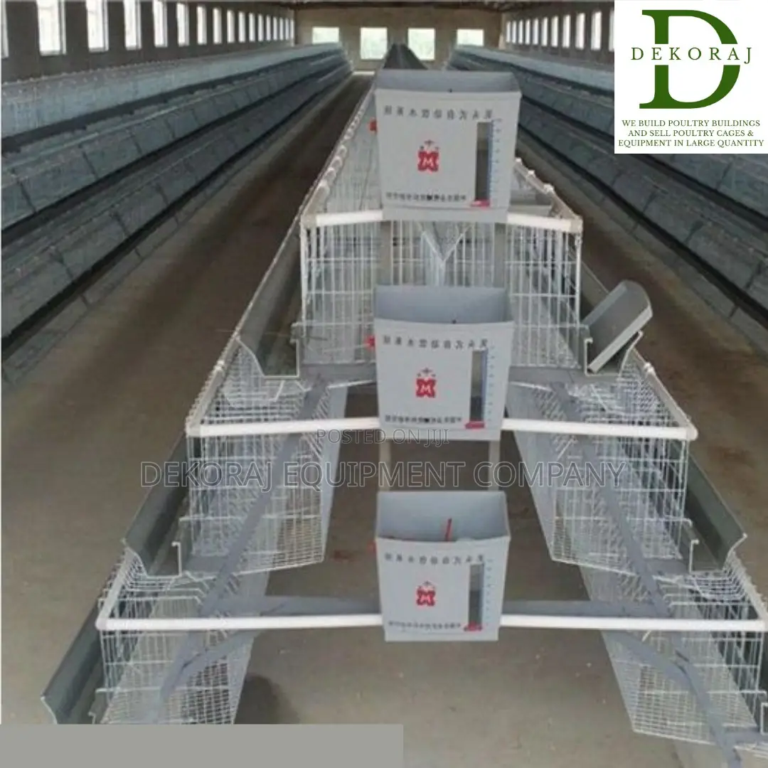 120 Capacity Layers Cage, Nipple Drinkers, Chicken Cutter