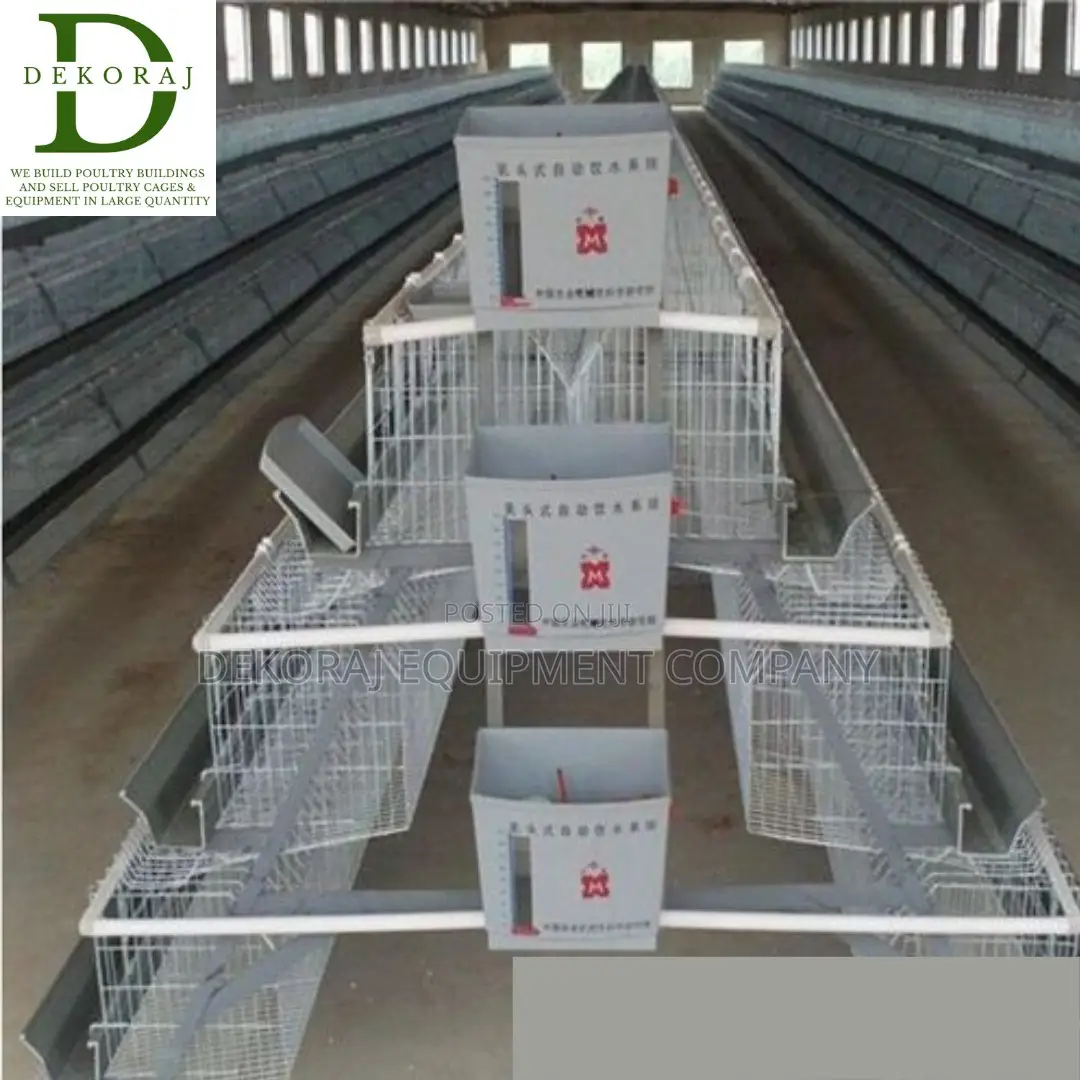 96 Capacity Layers Cage, Chick Feeder, Chicken Cutter