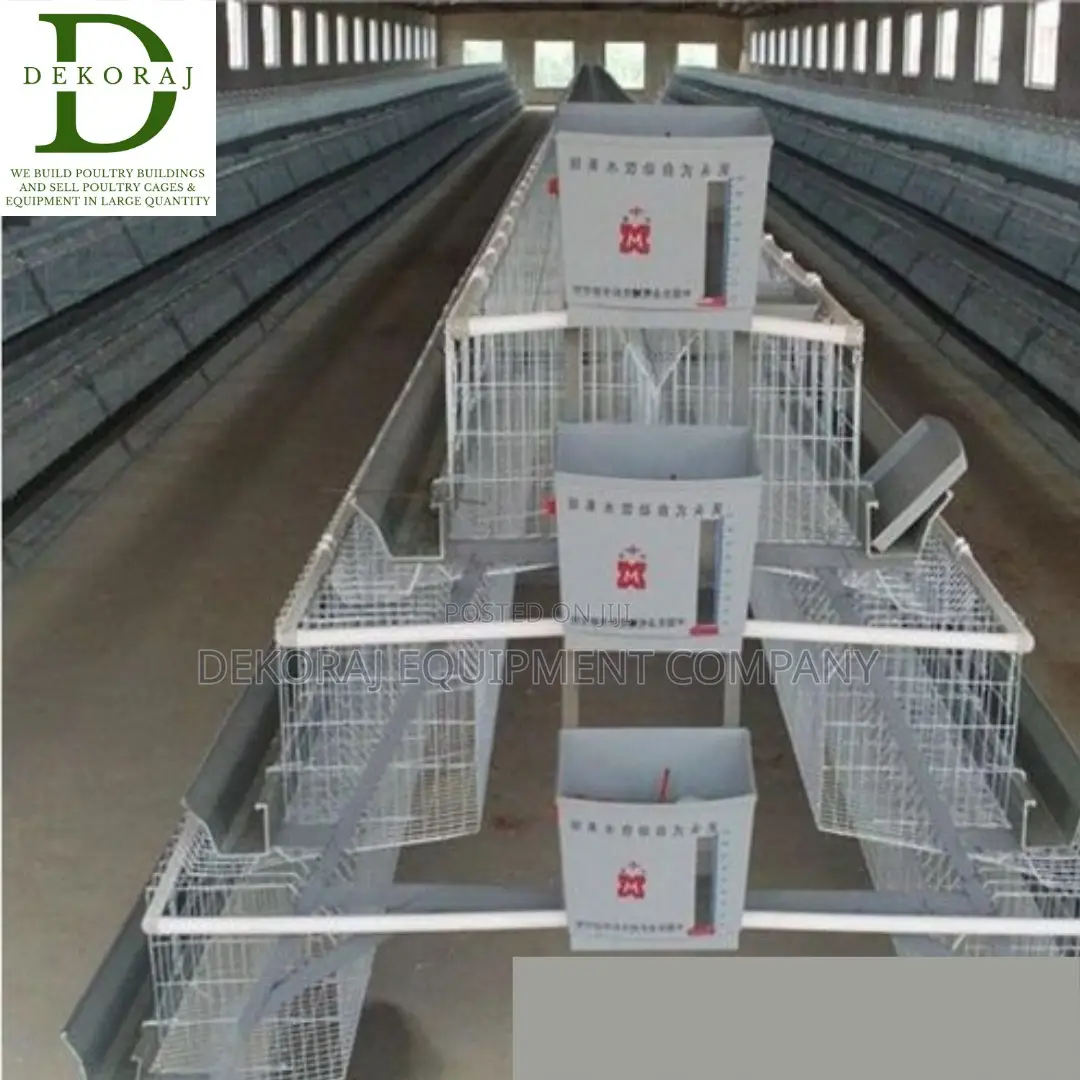 128 Capacity Layers Cage, Chicken Feeder, Automatic Drinkers