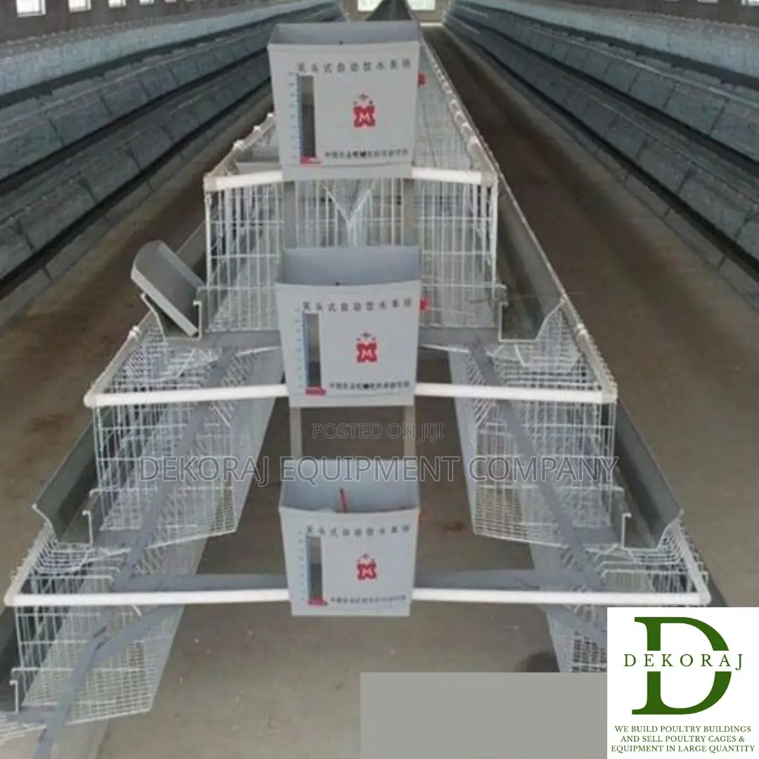 96 Capacity Layers Cage, Chick Feeder, Chicken Feeder