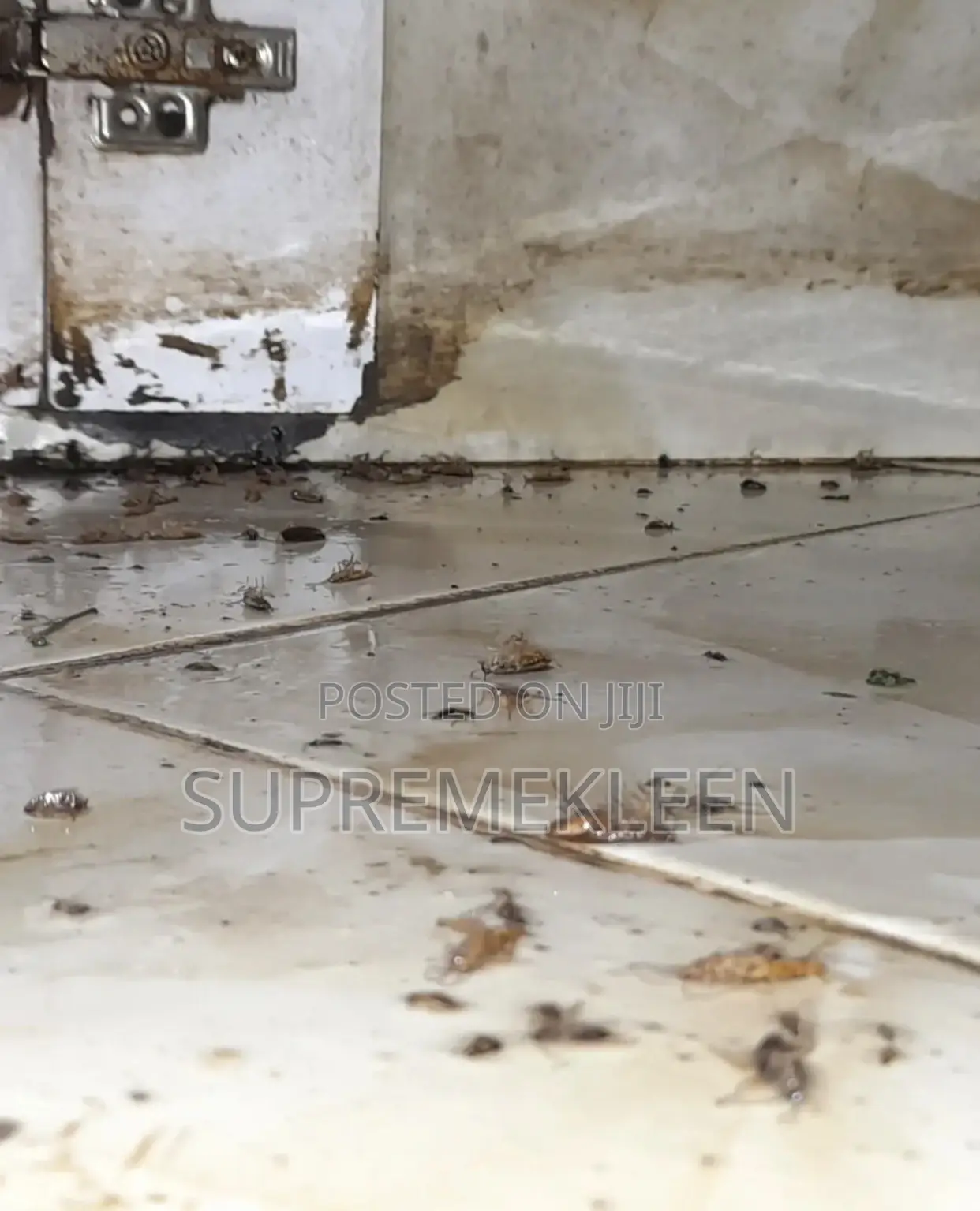 Pest Elimination Company in Ajah Lagos