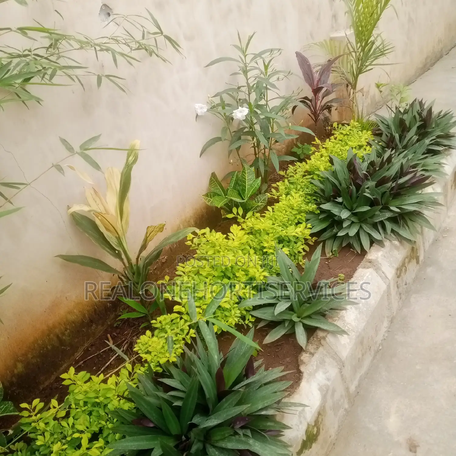 Gardening and Horticultural Services for Homes, Offices, Etc