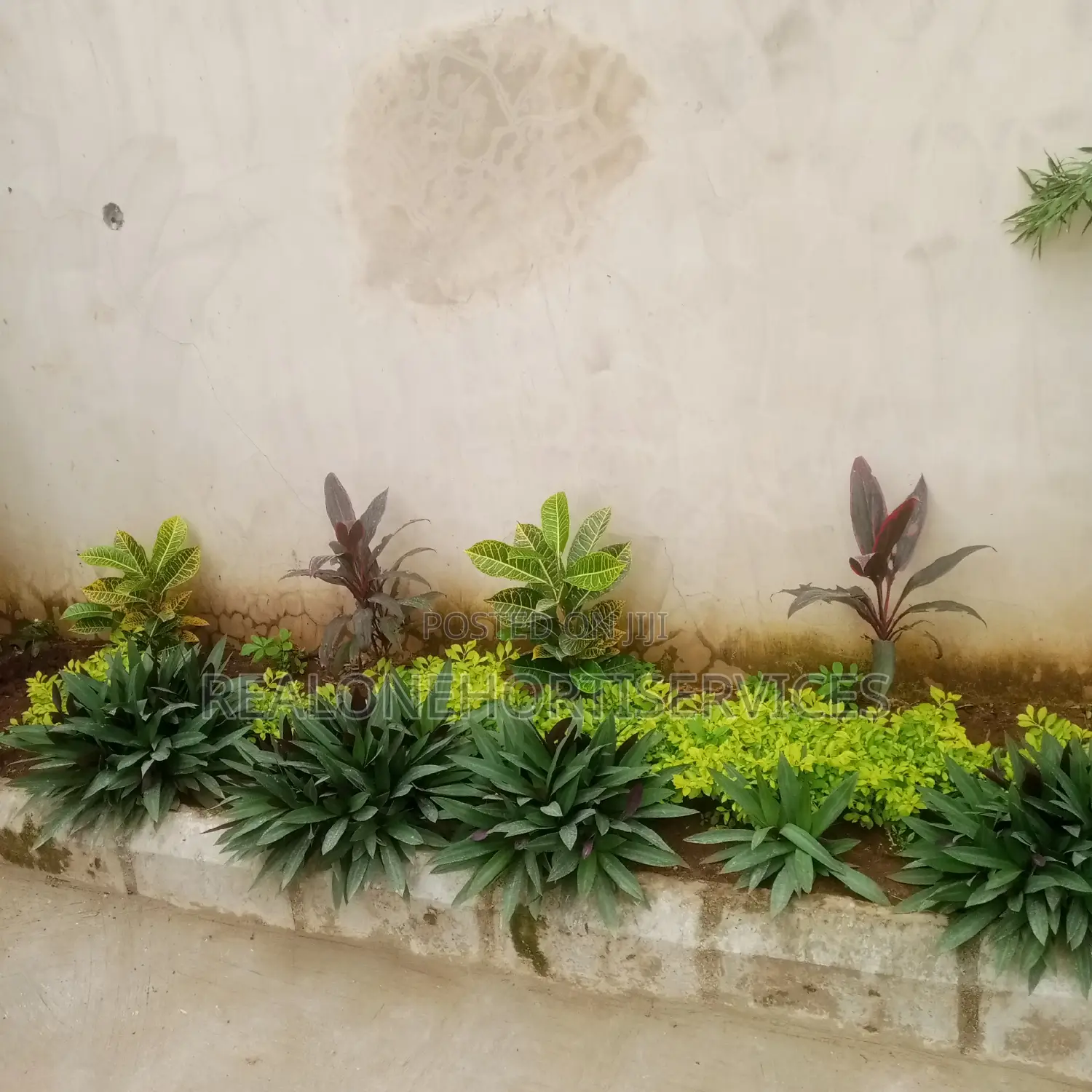 Gardening and Horticultural Services for Homes, Offices, Etc