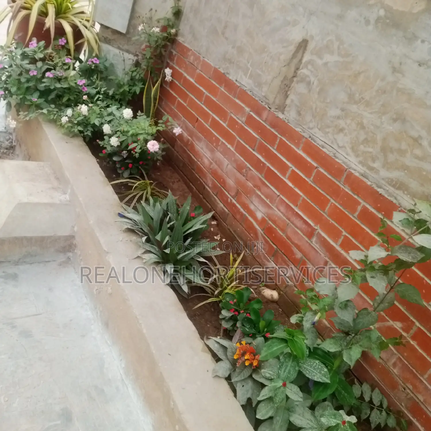 Gardening and Horticultural Services for Homes, Offices, Etc