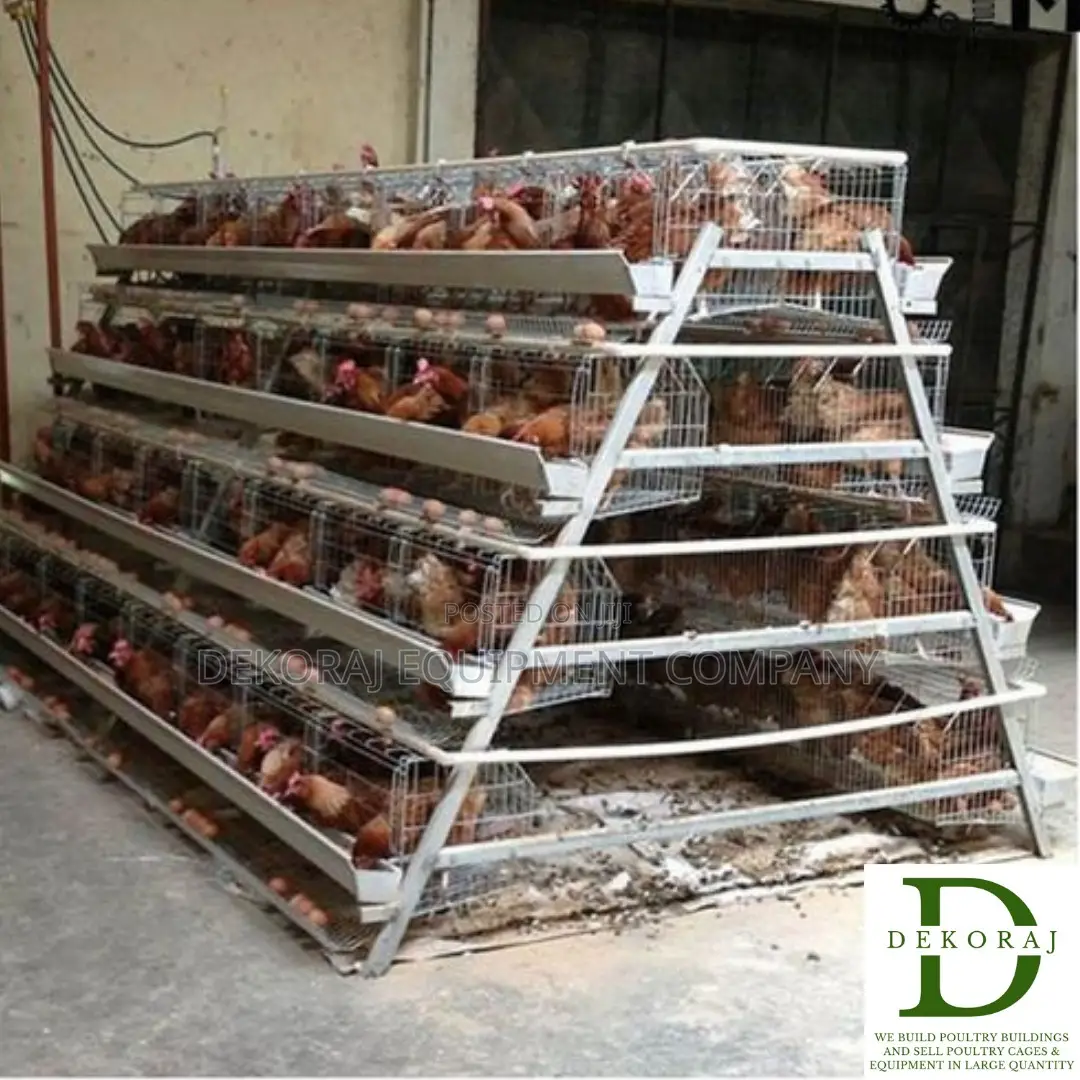 128 Capacity Poultry Cage, Chicken Feeder, Day Old Chicks