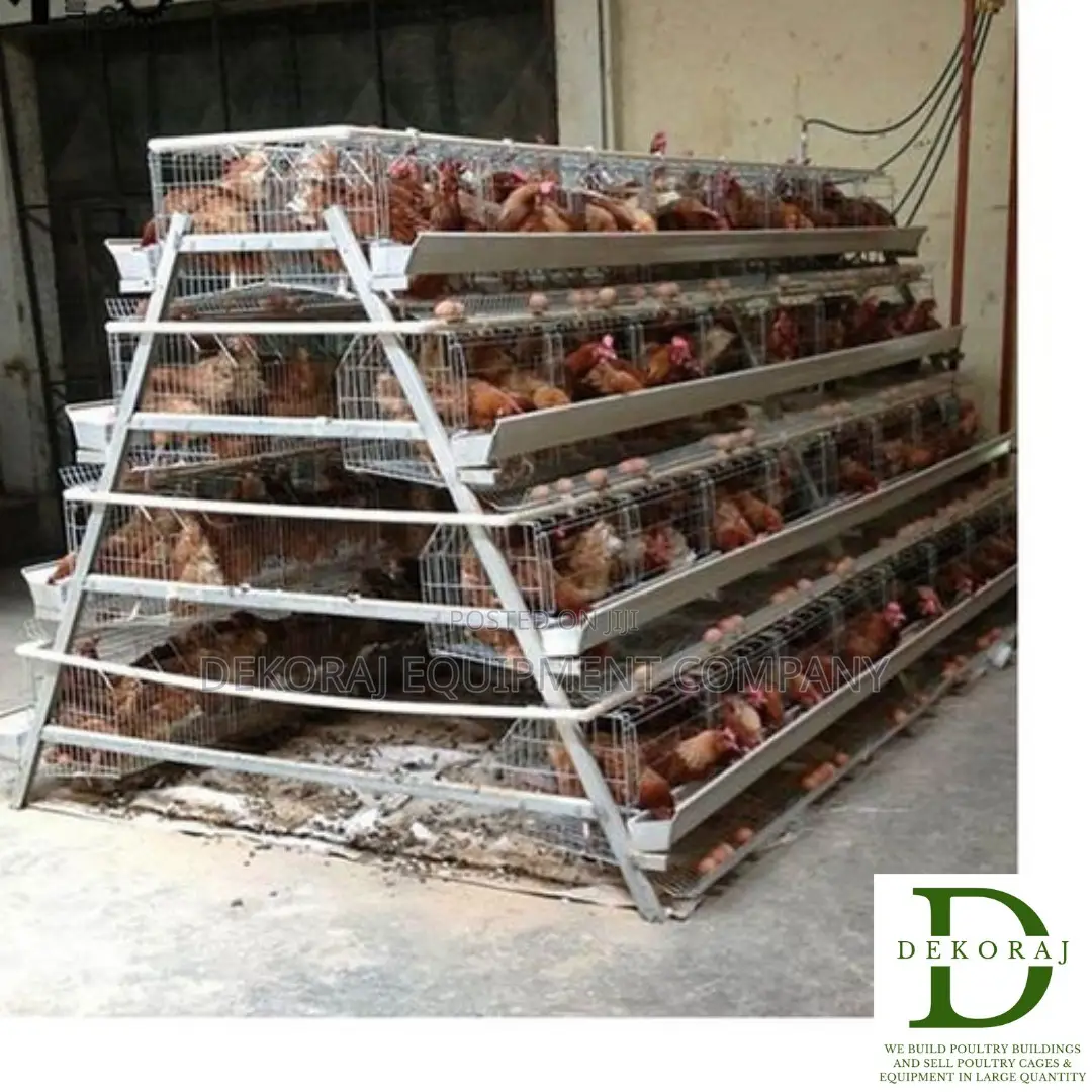 160 Capacity Poultry Cage, Feeders, Debeaker