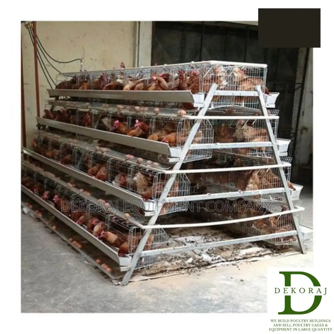96 Capacity Poultry Cage, Chicken Feeder, Feedmill