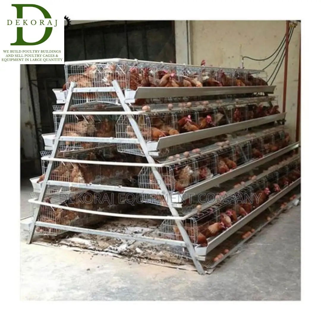 160 Capacity Poultry Cage, Temperature Monitor, Nipple Drink