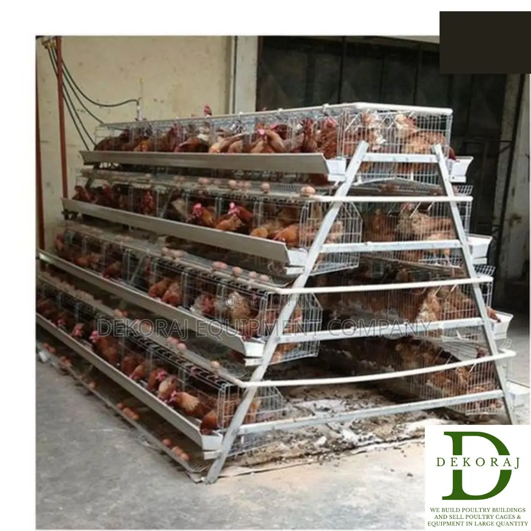 160 Capacity Poultry Cage, Layers, Bell Drinkers
