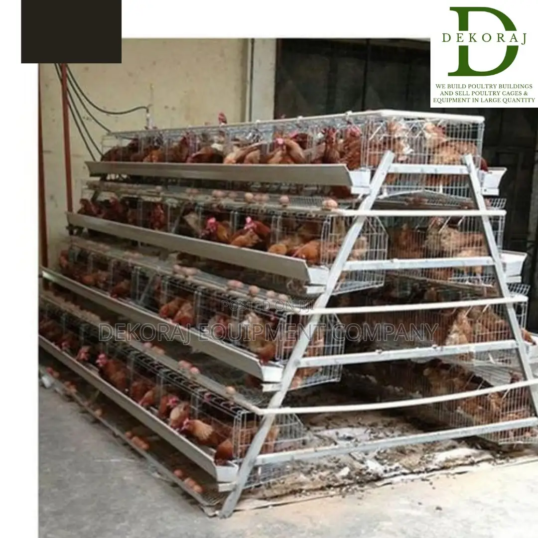 120 Capacity Poultry Cage, Chicken Cutter, Automatic Drinker