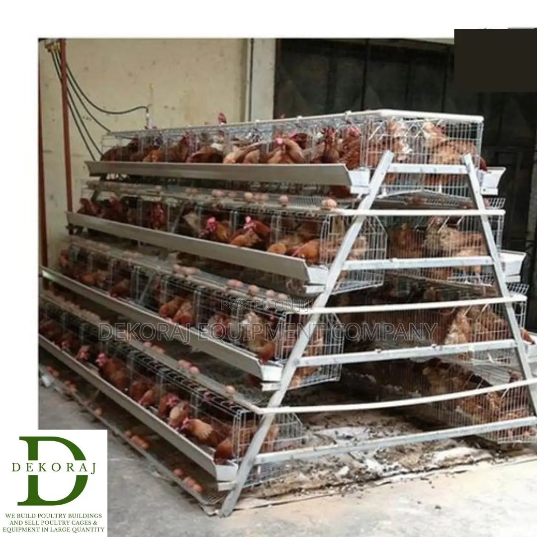 96 Capacity Poultry Cage, Chick Feeder, Layers