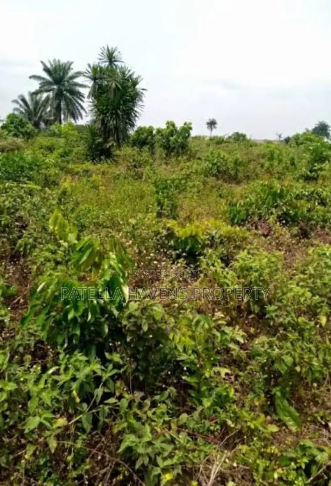 Land for Sale in Kuje