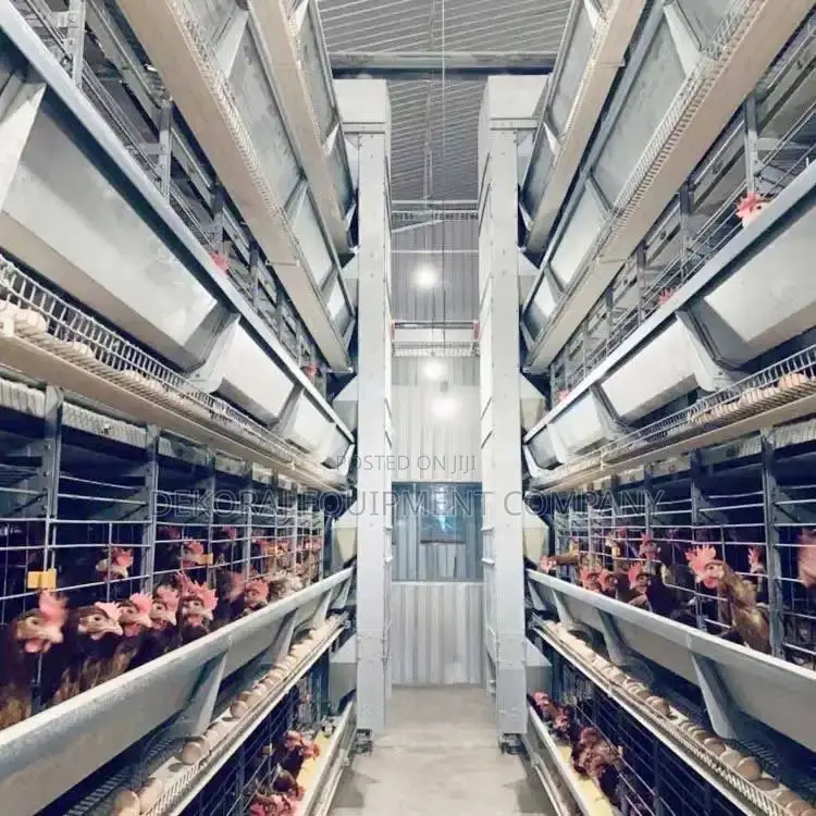 Automatic160 Chicken Cage Hub,Bell Drinkers ,Nipple Drinkers