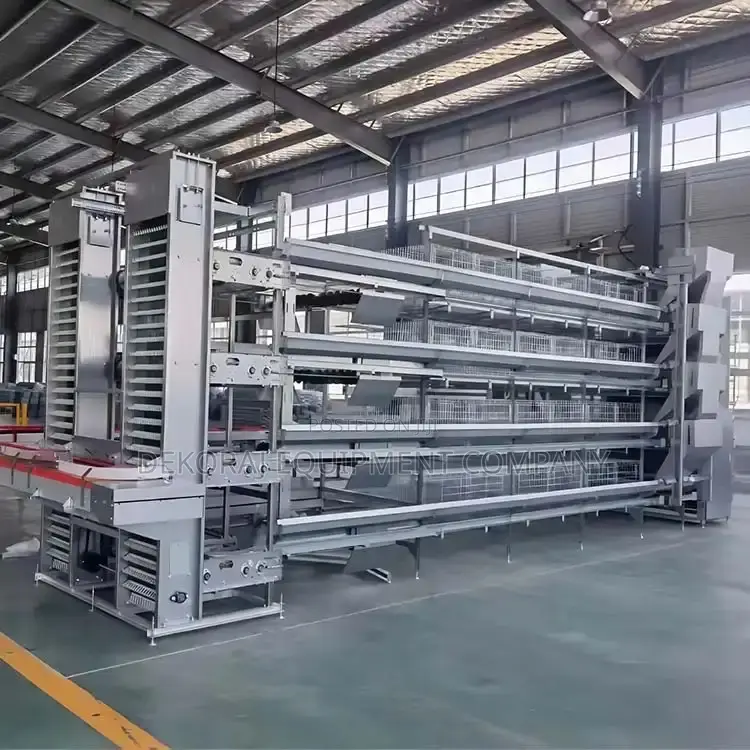 Automated Chicken Cage Experts In Nigeria
