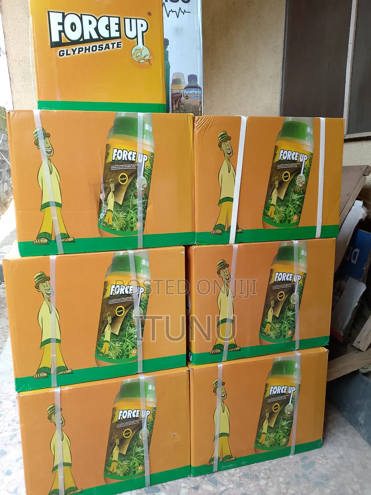 Force Up 1 Carton